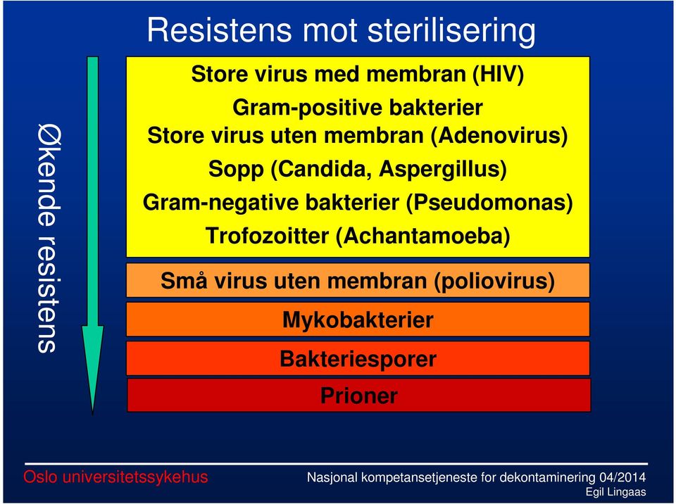 (Candida, Aspergillus) Gram-negative bakterier (Pseudomonas) Trofozoitter