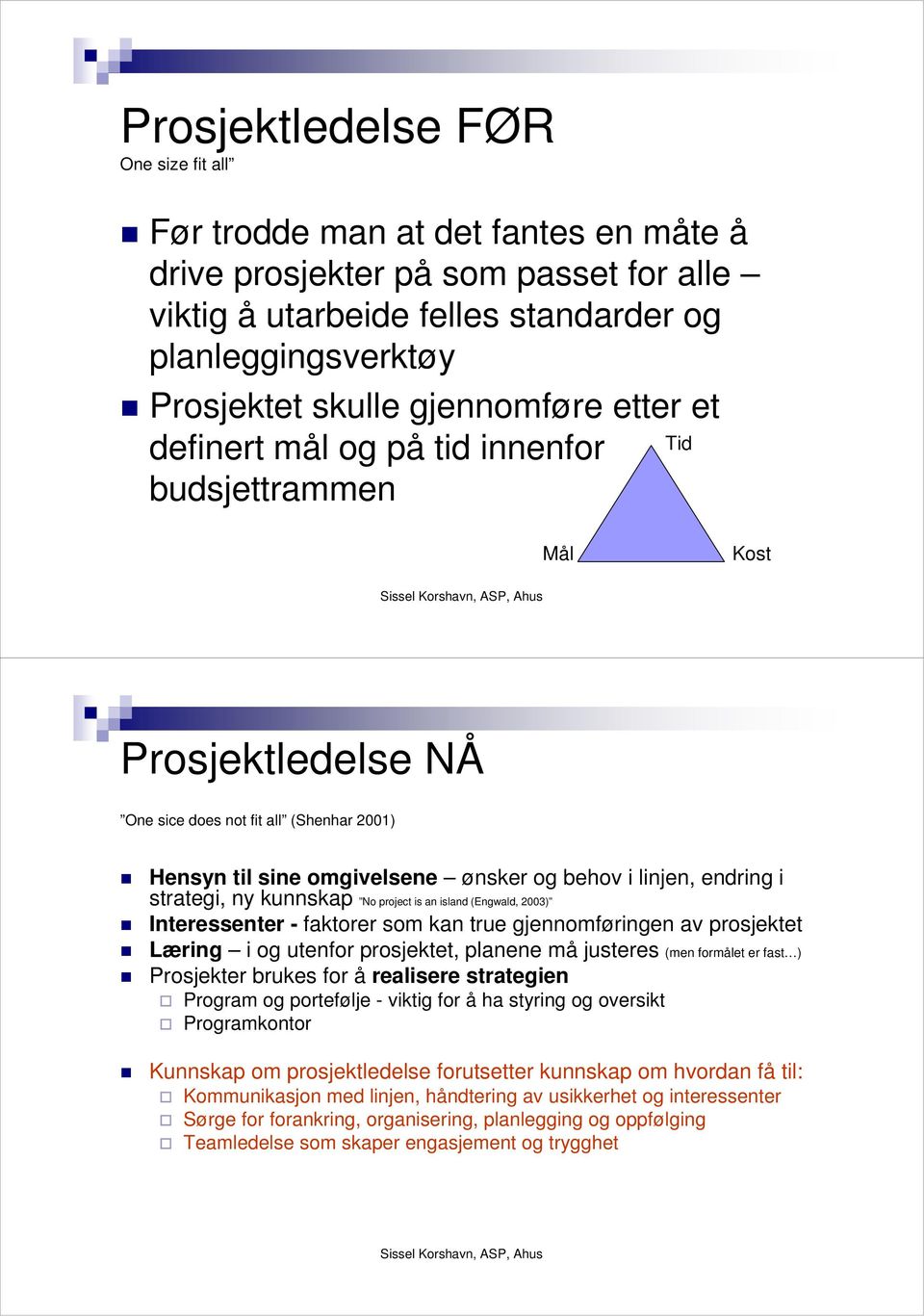 endring i strategi, ny kunnskap No project is an island (Engwald, 2003) Interessenter - faktorer som kan true gjennomføringen av prosjektet Læring i og utenfor prosjektet, planene må justeres (men