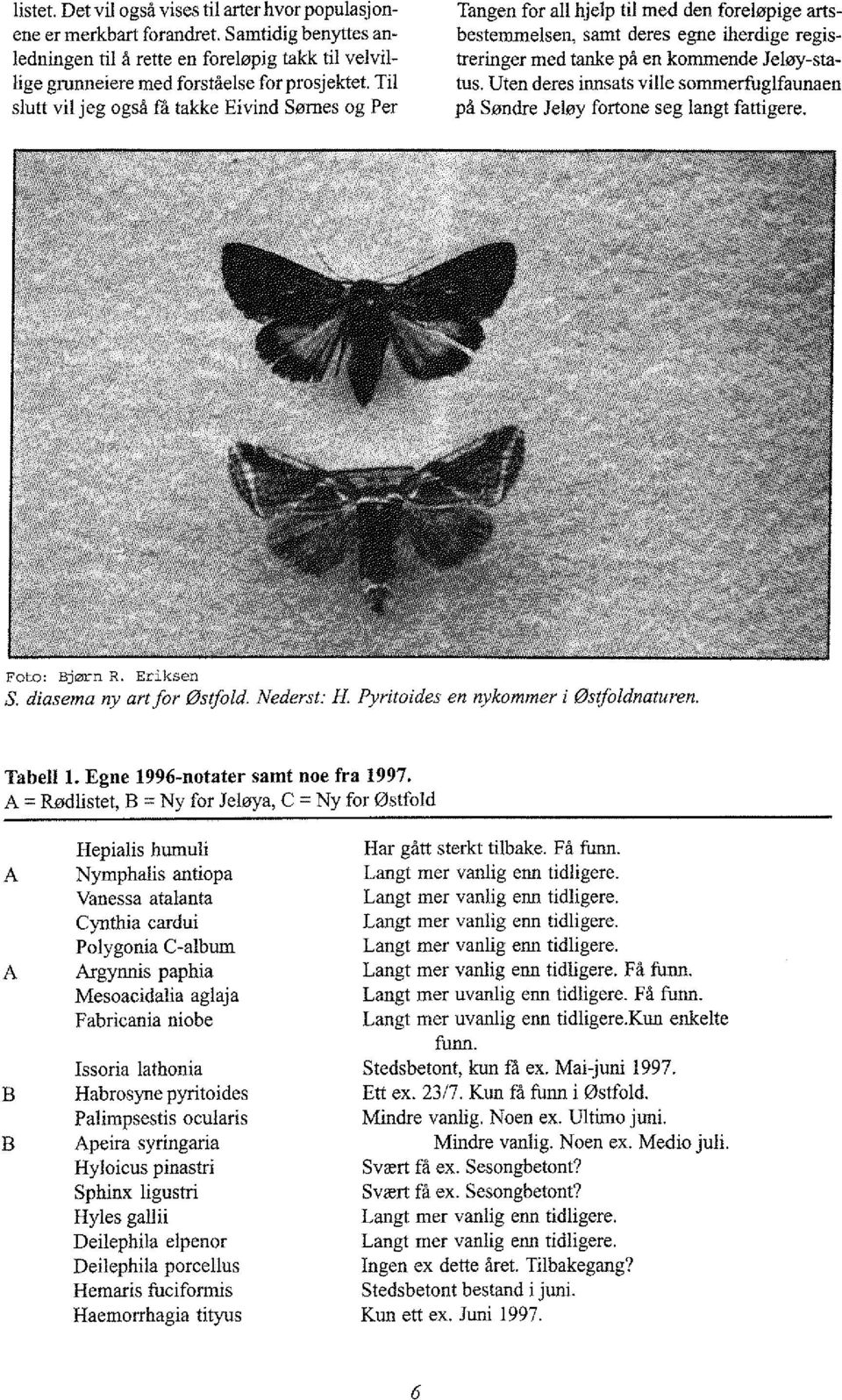 Uten deres innsats ville smmerfuglfaunaen på Søndre Jeløy frtne seg langt fattigere. Ft: Bjørn R. Eriksen S. diasema ny art fr Østfld. Nederst: H Pyritides en nykmmer i Østf/dnaturen. Tabell l.