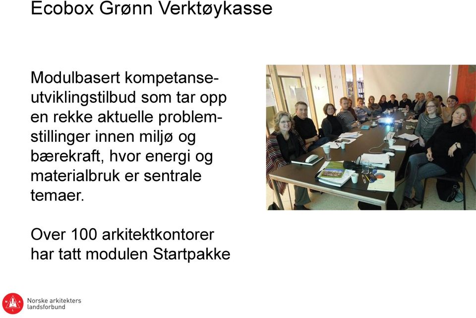 problemstillinger innen miljø og bærekraft, hvor energi og