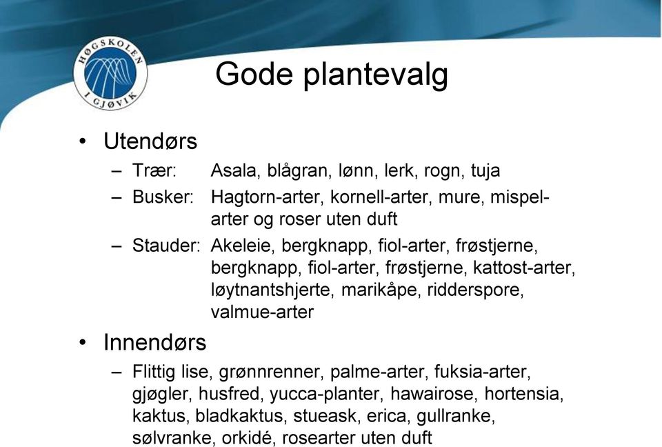 løytnantshjerte, marikåpe, ridderspore, valmue-arter Innendørs Flittig lise, grønnrenner, palme-arter, fuksia-arter, gjøgler,