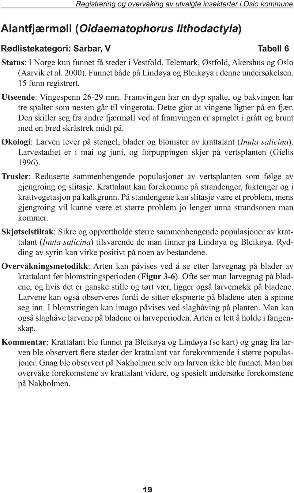 Framvingen har en dyp spalte, og bakvingen har tre spalter som nesten går til vingerota. Dette gjør at vingene ligner på en fjær.