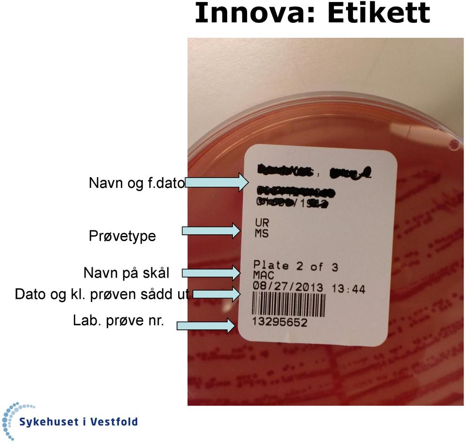 på skål Dato og kl.