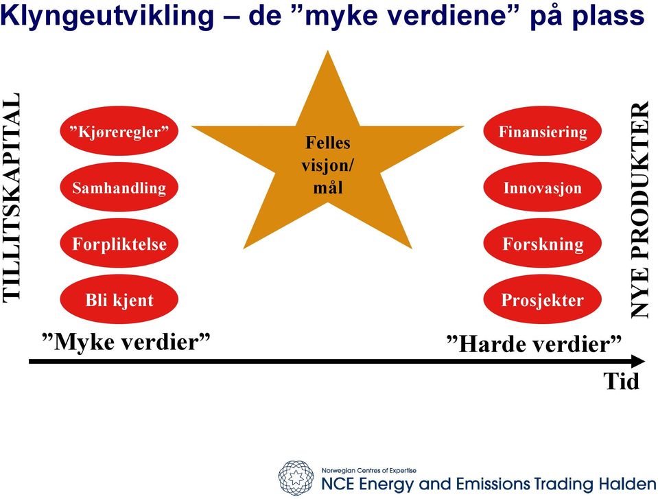 visjon/ mål Finansiering Innovasjon Forpliktelse