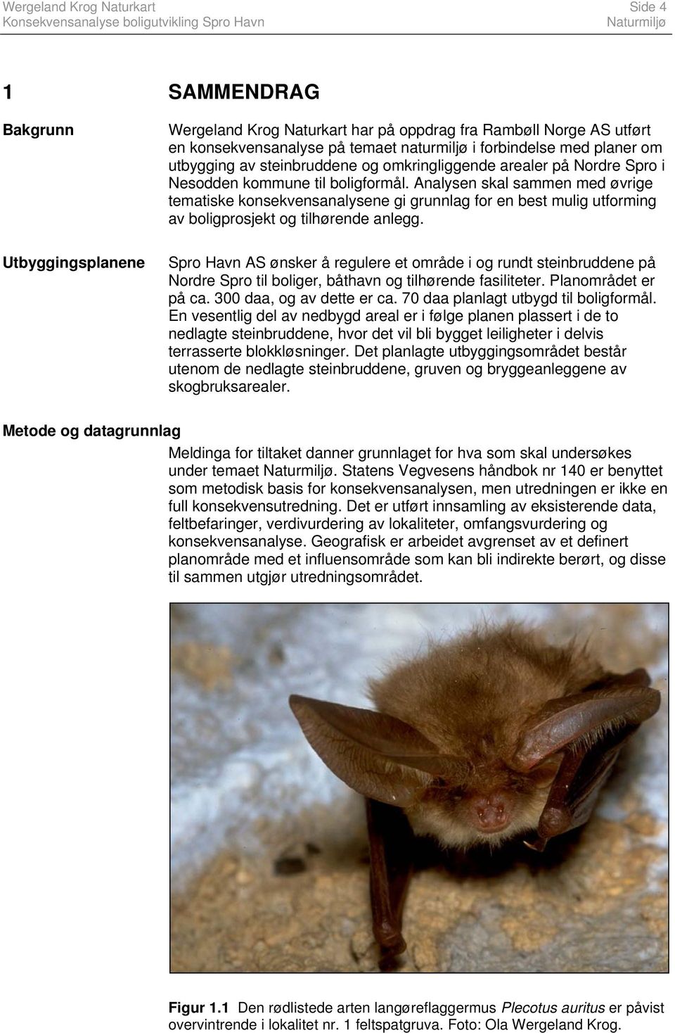 Analysen skal sammen med øvrige tematiske konsekvensanalysene gi grunnlag for en best mulig utforming av boligprosjekt og tilhørende anlegg.