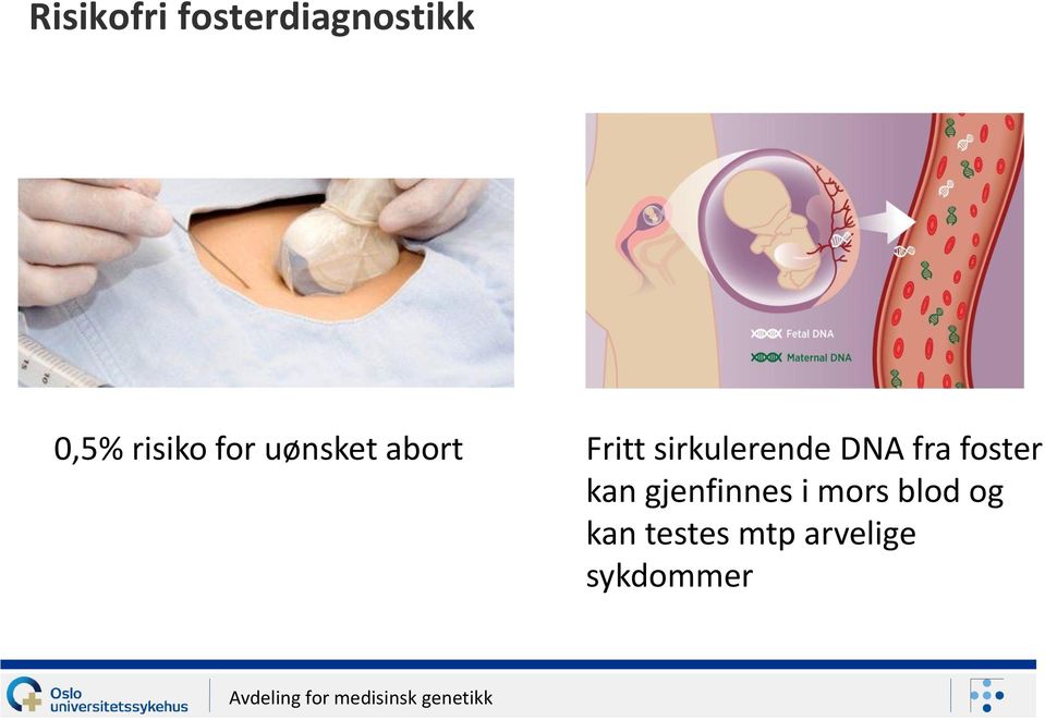 foster kan gjenfinnes i mors blod og kan