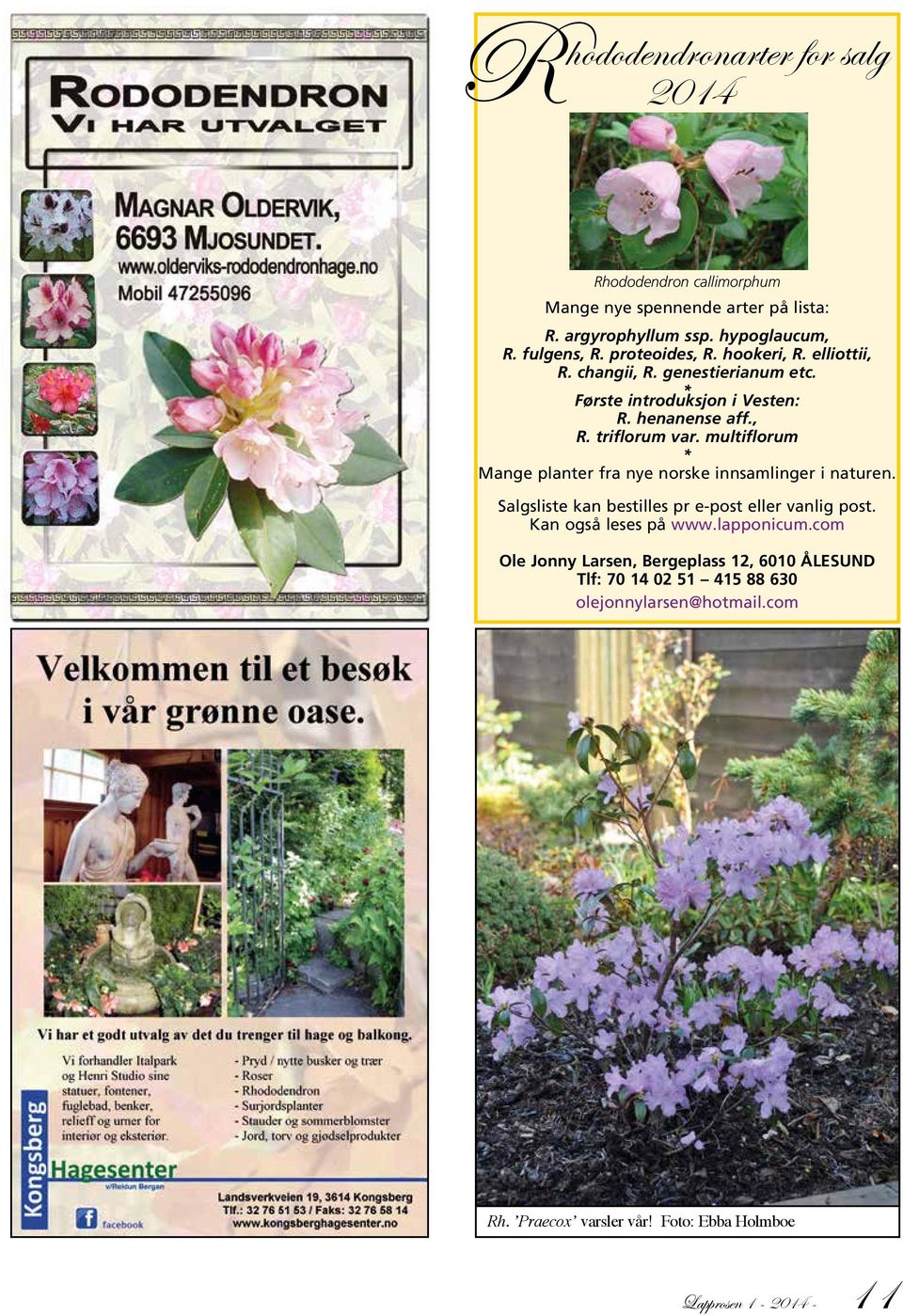 multiflorum * Mange planter fra nye norske innsamlinger i naturen. Salgsliste kan bestilles pr e-post eller vanlig post. Kan også leses på www.