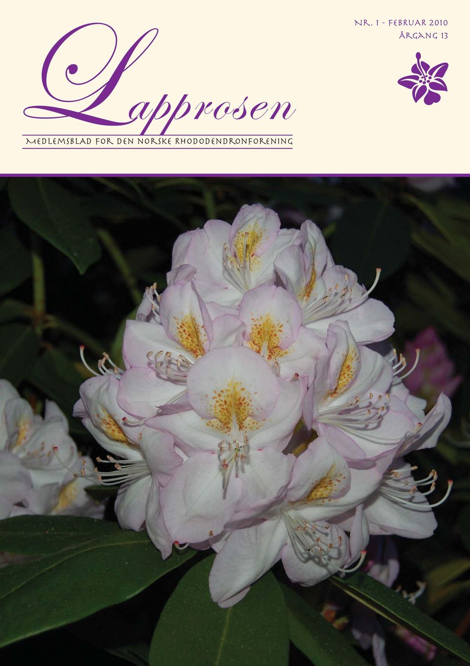 Rhododendronforening