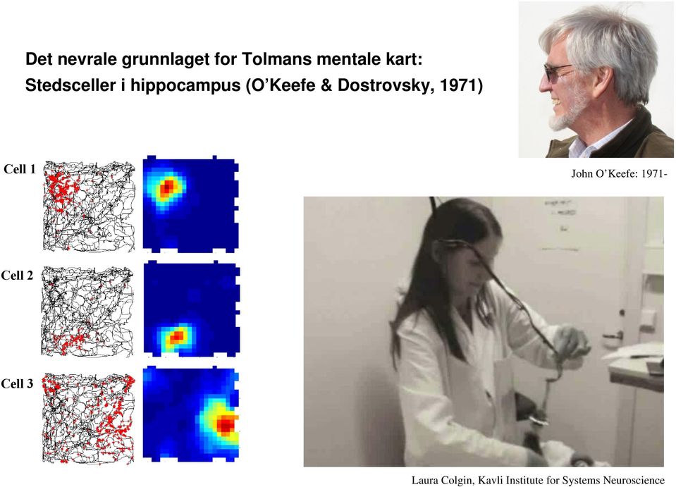 Target location in dorsal CA3 Cell 1 John O Keefe: 1971-