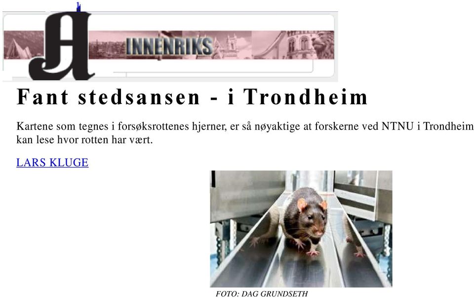i Trondheim kan lese hvor rotten har vært.