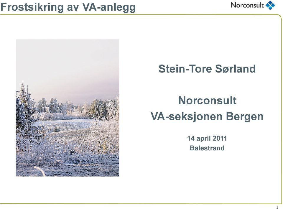 Norconsult VA-seksjonen