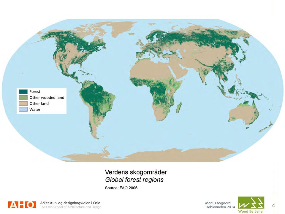 Global forest