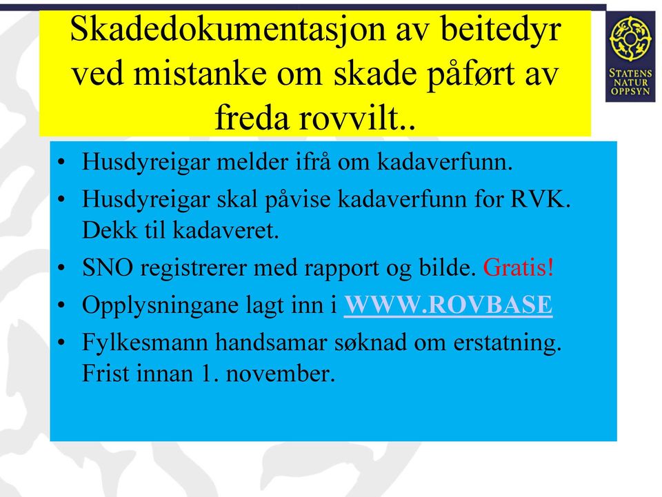 Husdyreigar skal påvise kadaverfunn for RVK. Dekk til kadaveret.