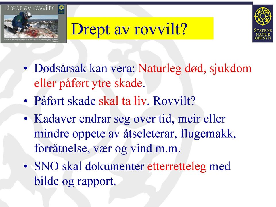 Påført skade skal ta liv. Rovvilt?