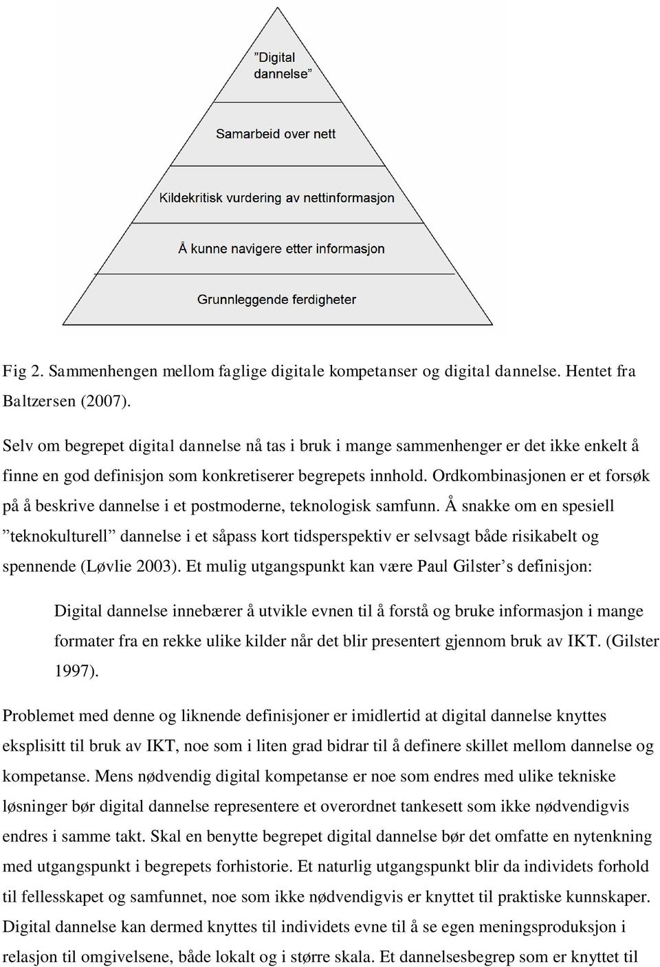 Ordkombinasjonen er et forsøk på å beskrive dannelse i et postmoderne, teknologisk samfunn.