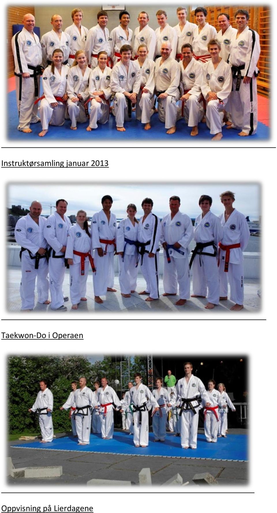 Taekwon-Do i