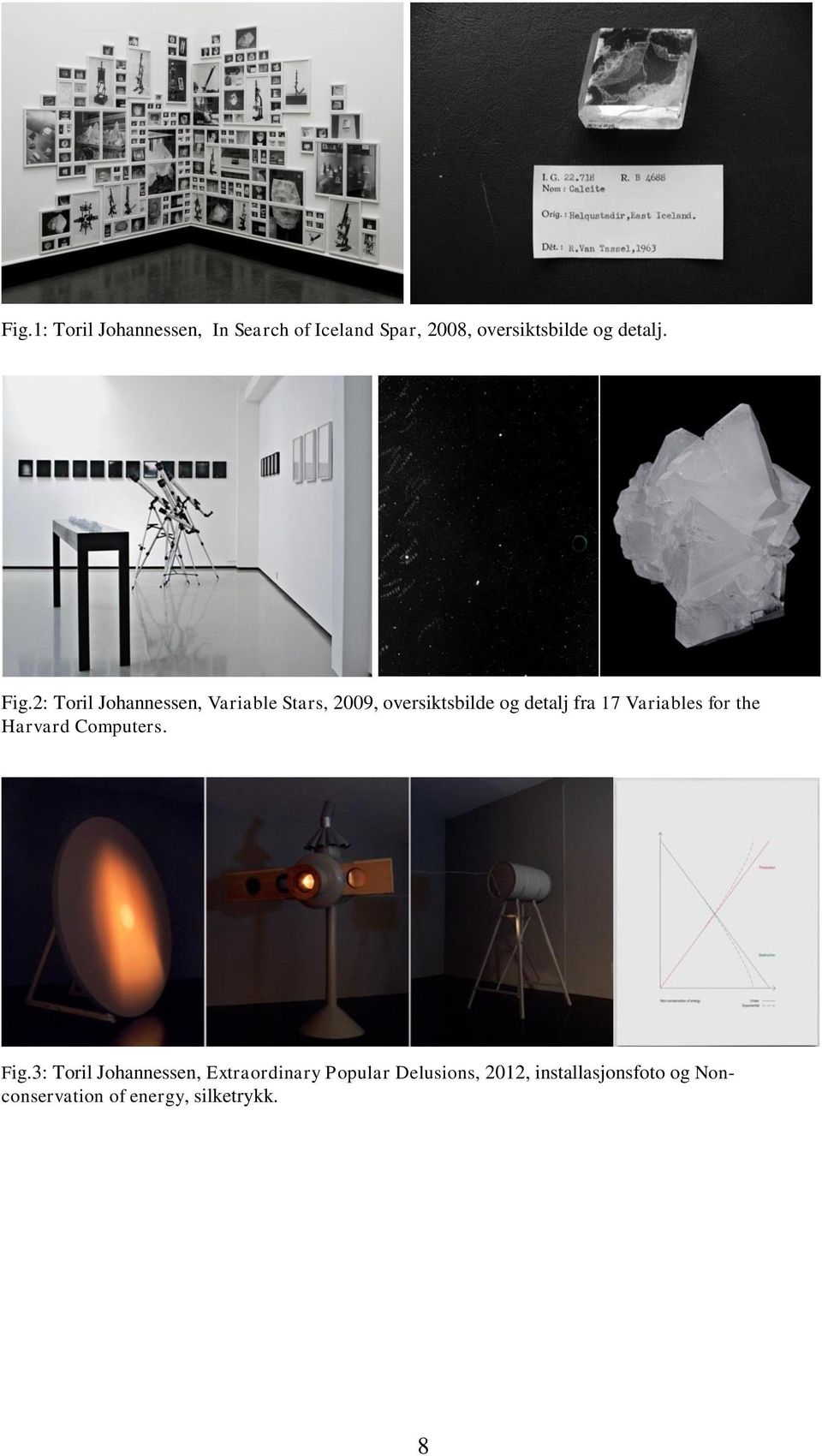 2: Toril Johannessen, Variable Stars, 2009, oversiktsbilde og detalj fra 17