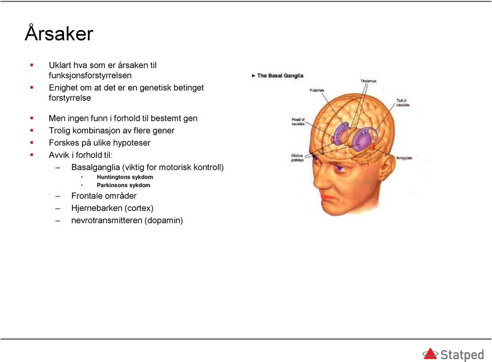 Forskes på ulike hypoteser Avvik i forhold til: Basalganglia (viktig for motorisk kontroll)