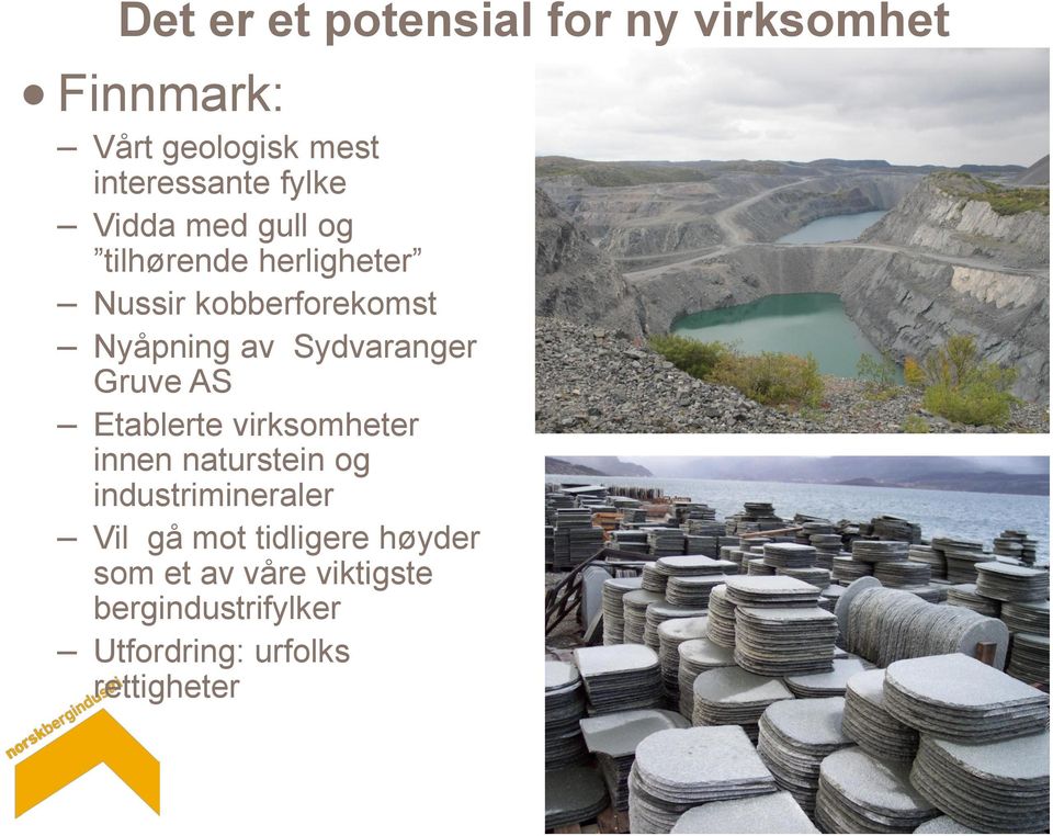 Sydvaranger Gruve AS Etablerte virksomheter innen naturstein og industrimineraler Vil