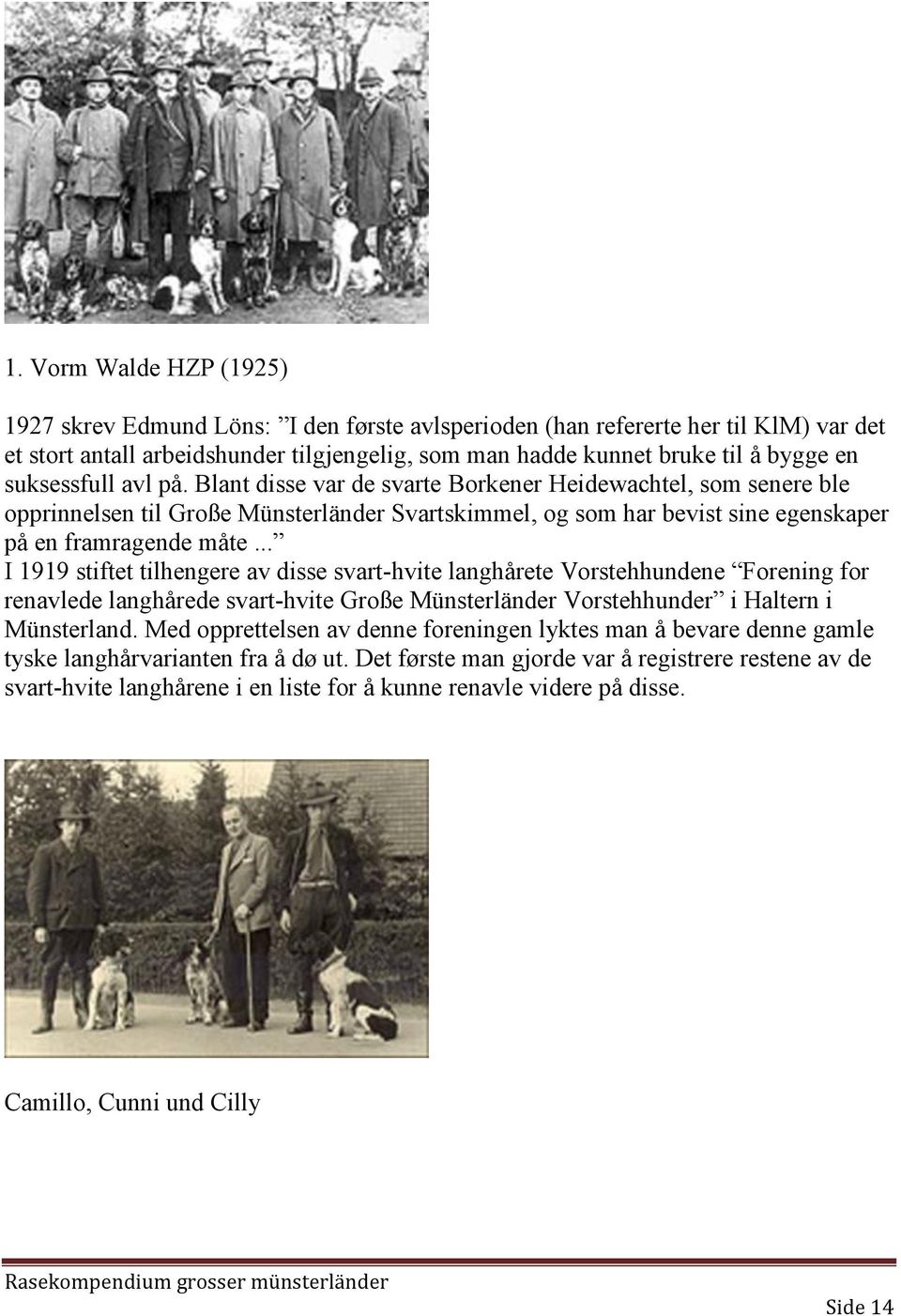 .. I 1919 stiftet tilhengere av disse svart-hvite langhårete Vorstehhundene Forening for renavlede langhårede svart-hvite Große Münsterländer Vorstehhunder i Haltern i Münsterland.