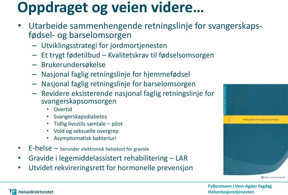 Revidere eksisterende nasjonal faglig retningslinje for svangerskapsomsorgen Overtid Svangerskapsdiabetes Tidlig livsstils samtale pilot Vold og seksuelle overgrep