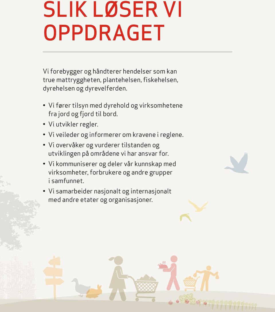 Vi veileder og informerer om kravene i reglene. Vi overvåker og vurderer tilstanden og utviklingen på områdene vi har ansvar for.