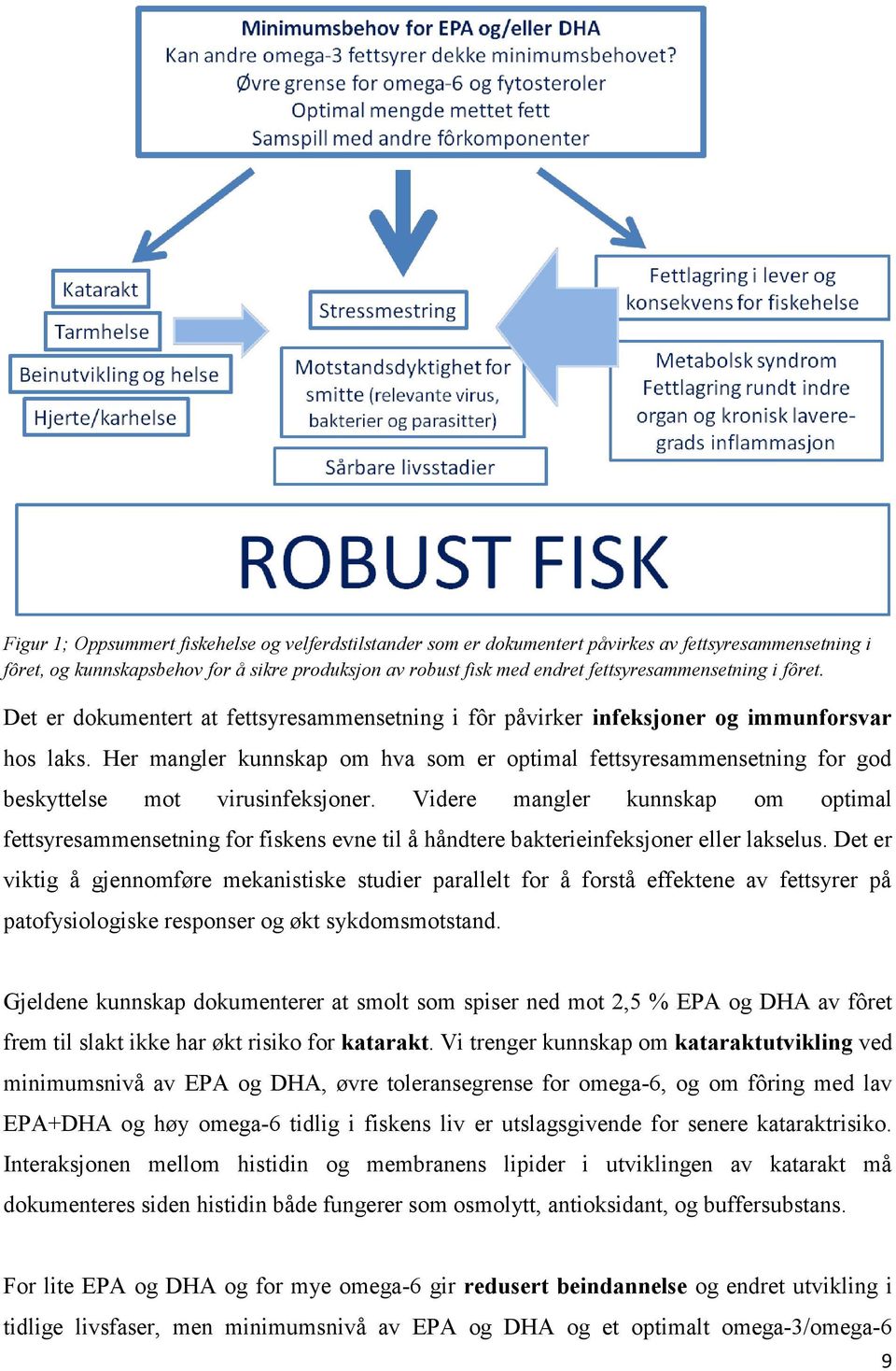 Her mangler kunnskap om hva som er optimal fettsyresammensetning for god beskyttelse mot virusinfeksjoner.