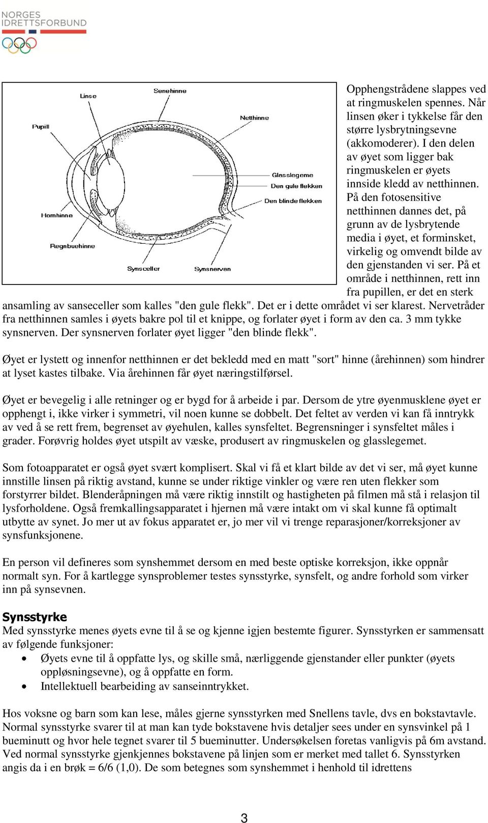 På den fotosensitive netthinnen dannes det, på grunn av de lysbrytende media i øyet, et forminsket, virkelig og omvendt bilde av den gjenstanden vi ser.