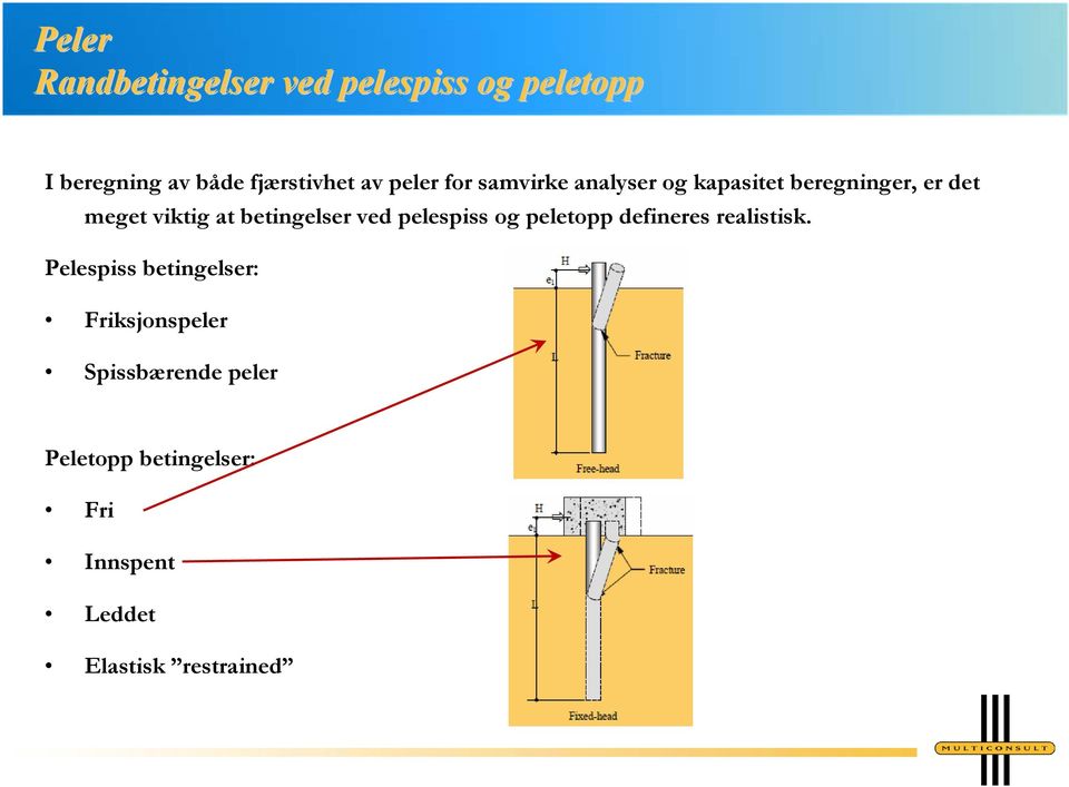 betingelser ved pelespiss og peletopp defineres realistisk.