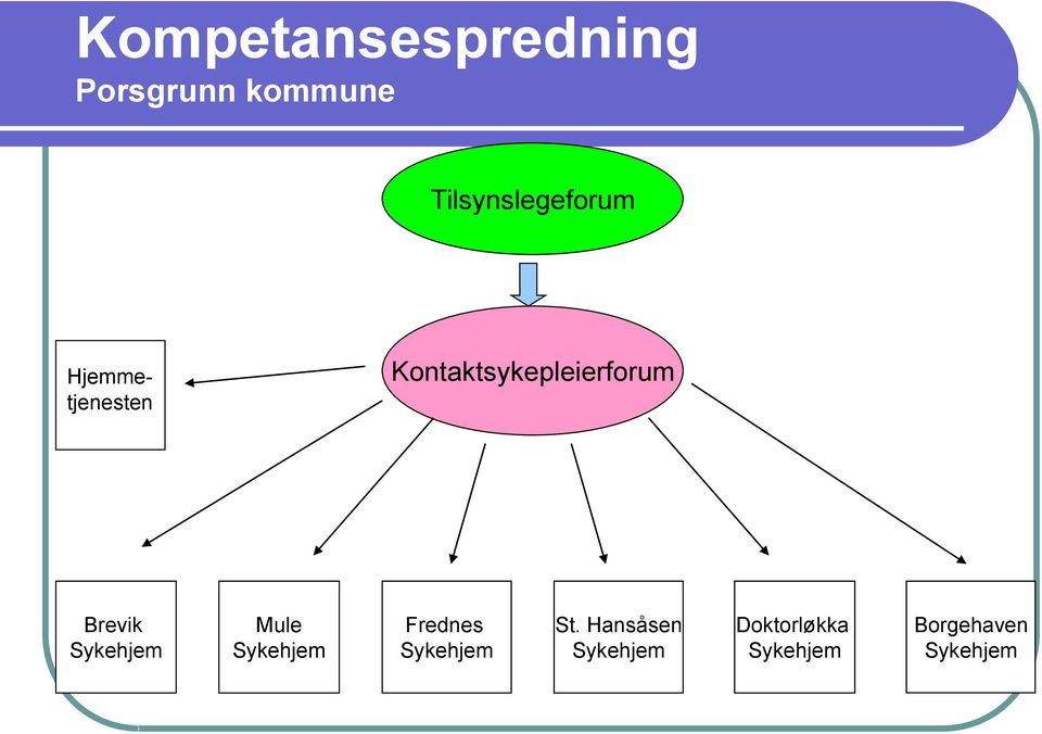 Kontaktsykepleierforum Brevik Sykehjem Mule