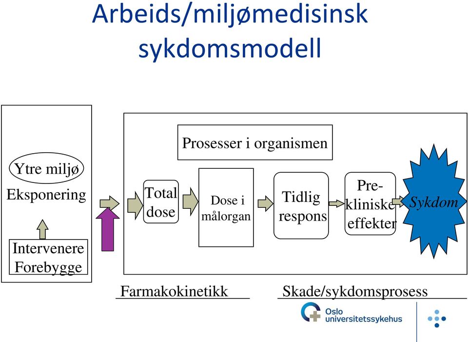 Prosesser i organismen Dose i målorgan