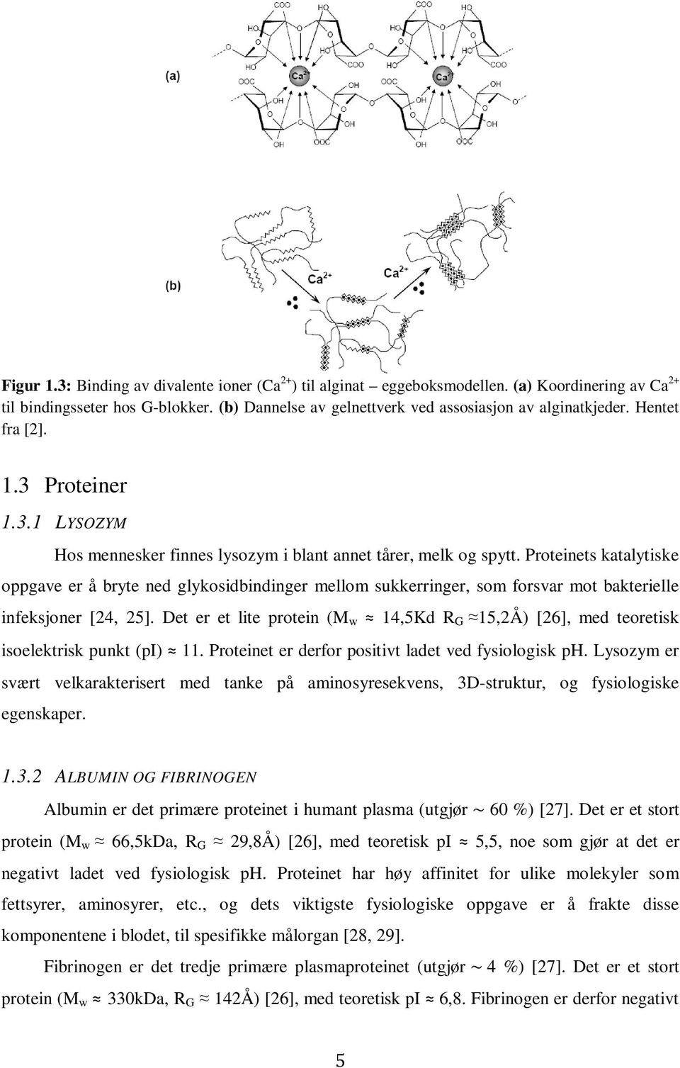 Proteinets katalytiske oppgave er å bryte ned glykosidbindinger mellom sukkerringer, som forsvar mot bakterielle infeksjoner [24, 25].