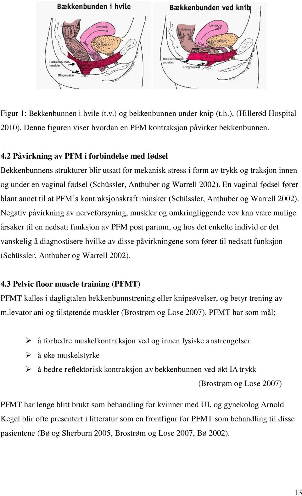 2002). En vaginal fødsel fører blant annet til at PFM s kontraksjonskraft minsker (Schüssler, Anthuber og Warrell 2002).