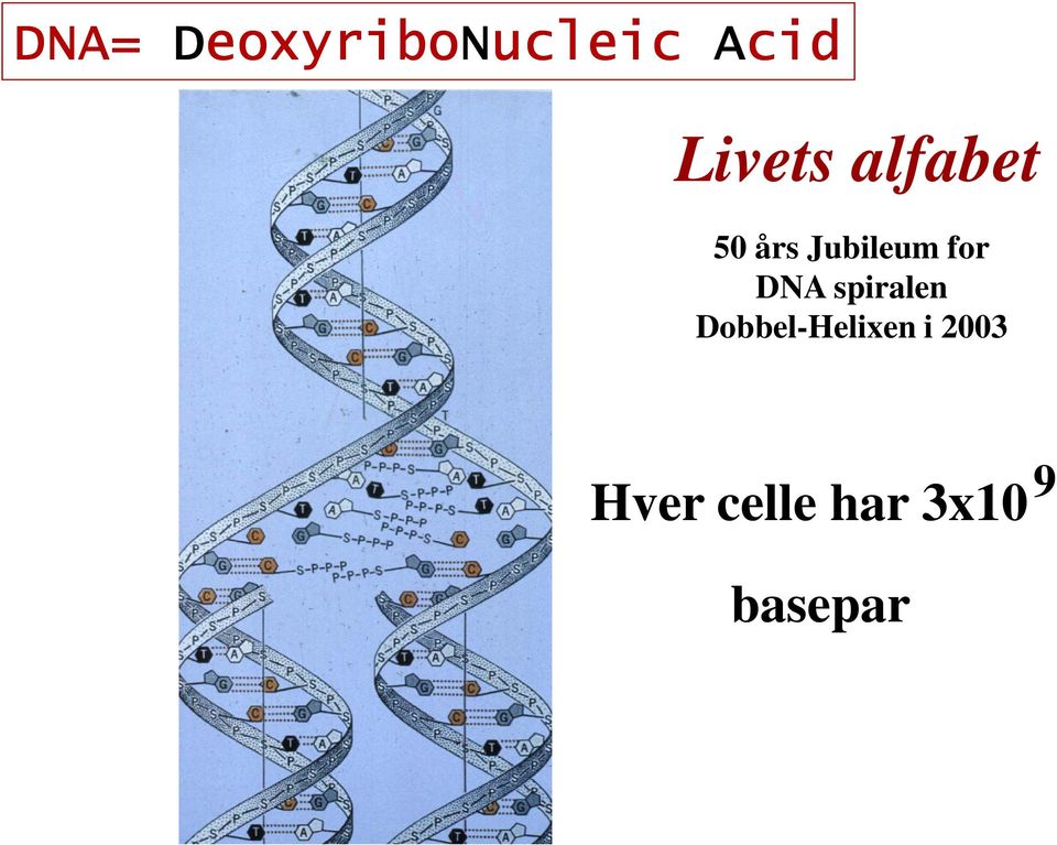 Jubileum for DNA spiralen