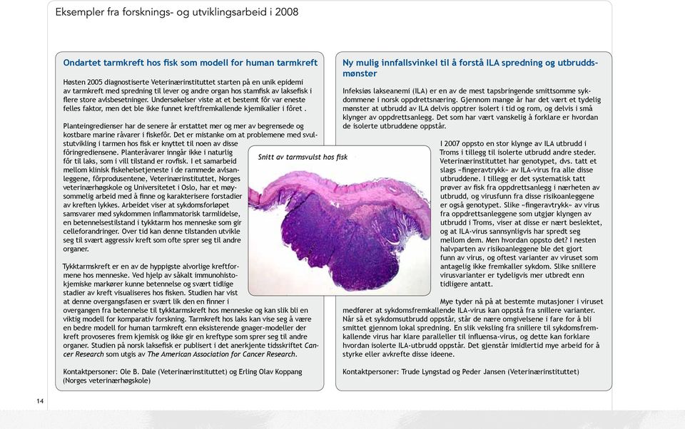 Undersøkelser viste at et bestemt fôr var eneste felles faktor, men det ble ikke funnet kreftfremkallende kjemikalier i fôret.