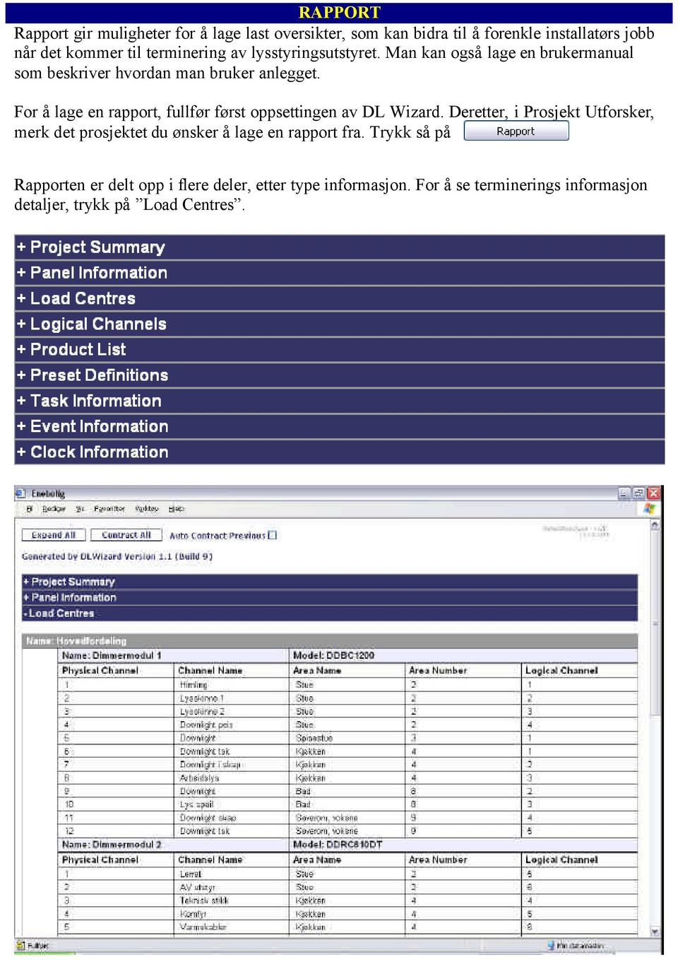 rapport, fullfør først oppsettingen av DL Wizard Deretter, i Prosjekt Utforsker, merk det prosjektet du ønsker å lage en rapport