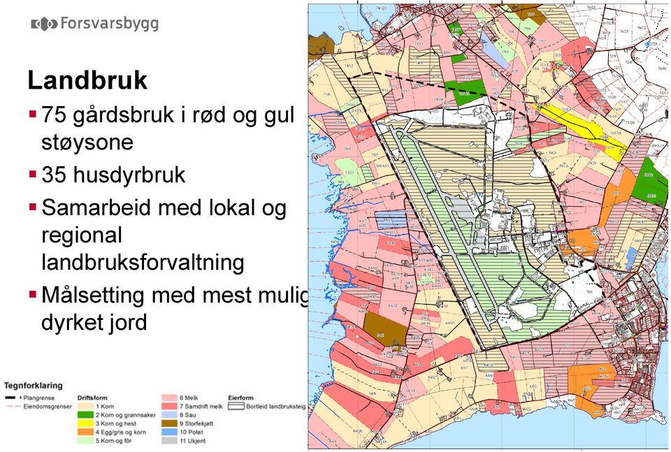 lokal og regional