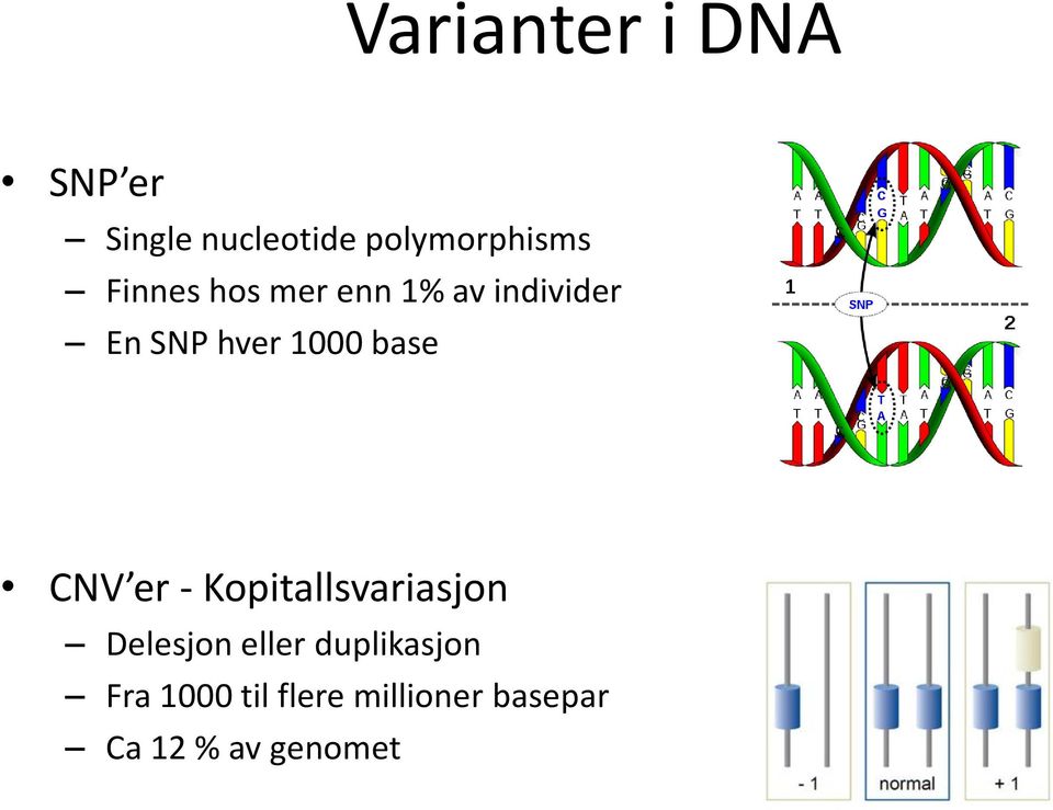 base CNV er - Kopitallsvariasjon Delesjon eller