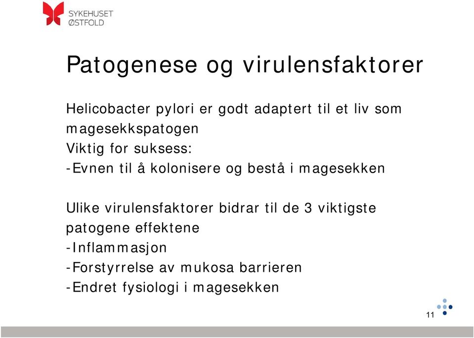 magesekken Ulike virulensfaktorer bidrar til de 3 viktigste patogene effektene