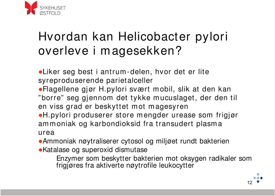 pylori svært mobil, slik at den kan borre seg gjennom det tykke mucuslaget, der den til en viss grad er beskyttet mot magesyren H.