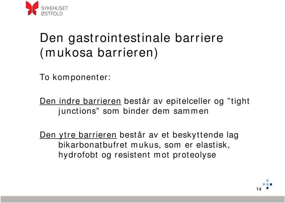 dem sammen Den ytre barrieren består av et beskyttende lag