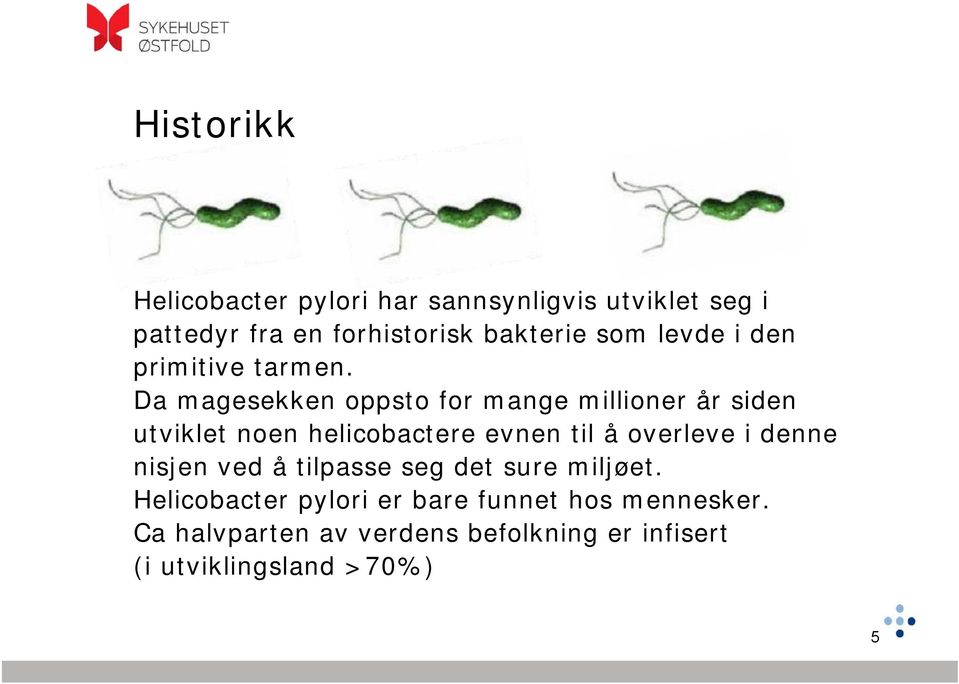 Da magesekken oppsto for mange millioner år siden utviklet noen helicobactere evnen til å overleve i