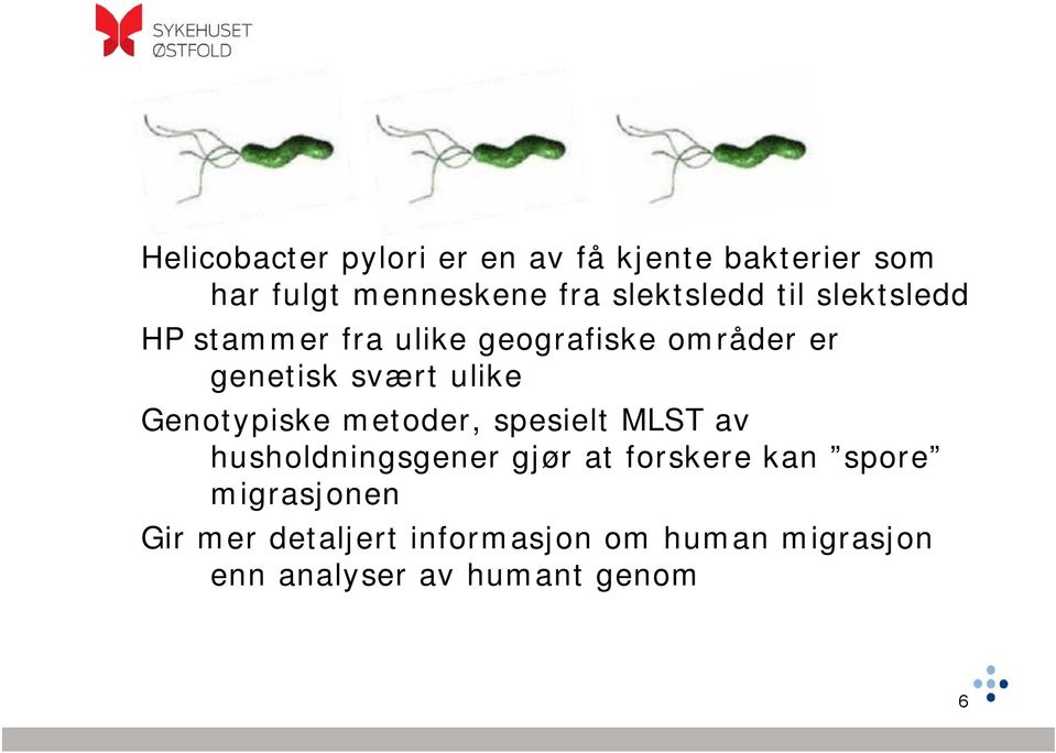 ulike Genotypiske metoder, spesielt MLST av husholdningsgener gjør at forskere kan