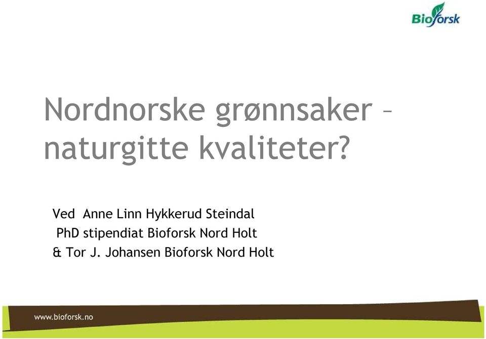 Ved Anne Linn Hykkerud Steindal PhD