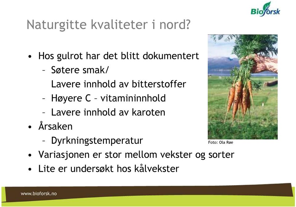 bitterstoffer Høyere C vitamininnhold Lavere innhold av karoten