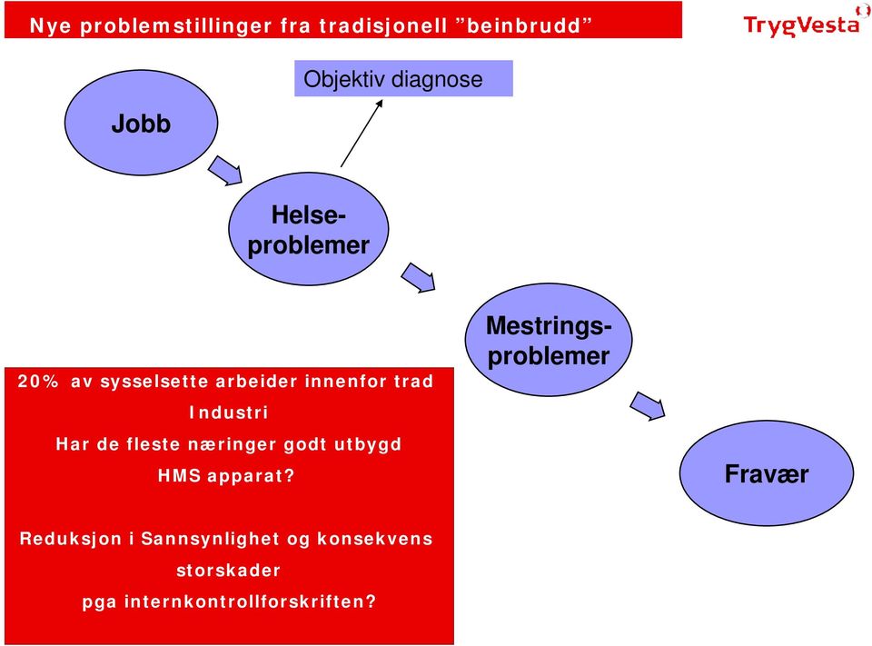 godt utbygd HMS apparat?