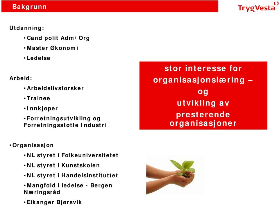 organisasjonslæring og utvikling av presterende organisasjoner Organisasjon NL styret i