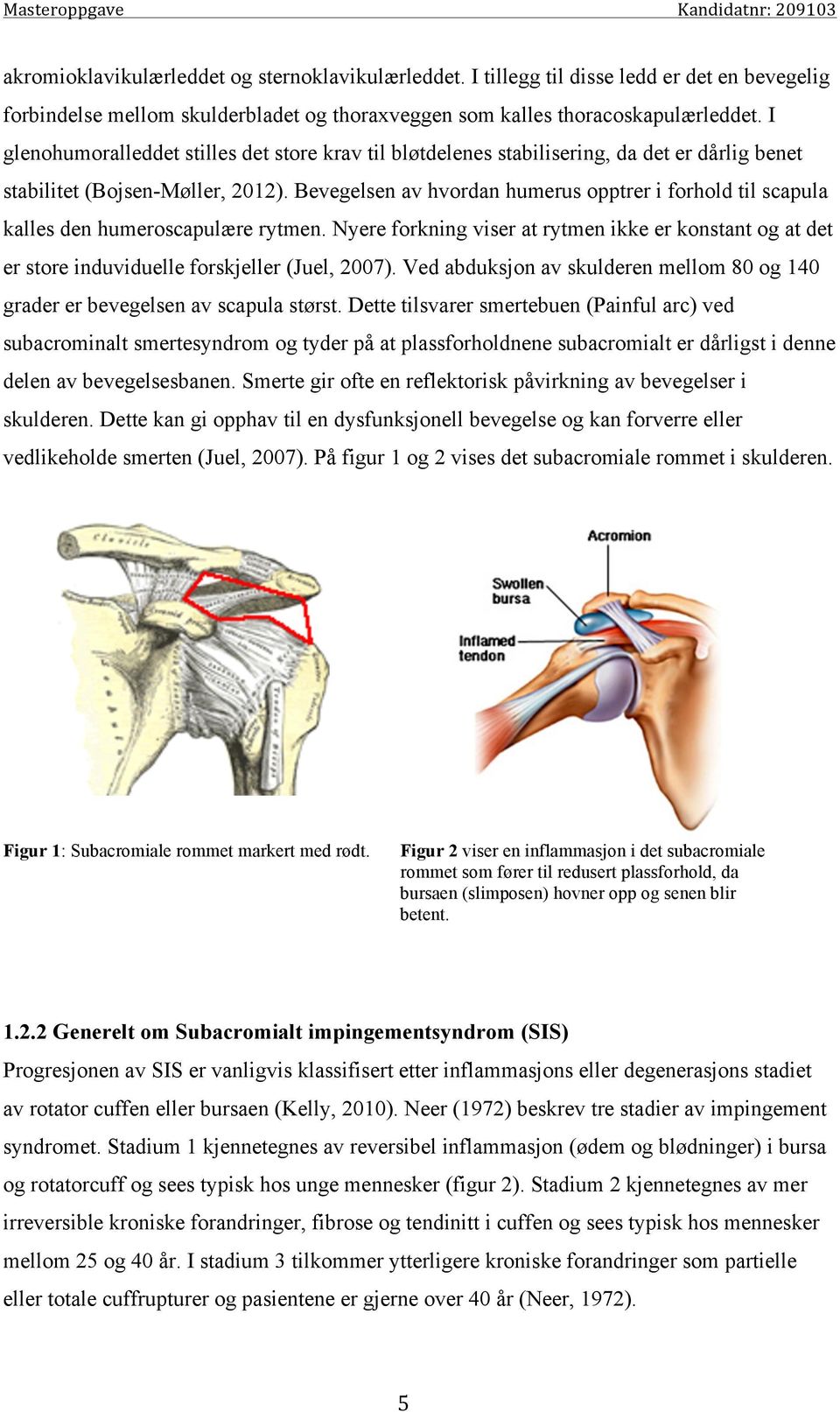 Bevegelsen av hvordan humerus opptrer i forhold til scapula kalles den humeroscapulære rytmen. Nyere forkning viser at rytmen ikke er konstant og at det er store induviduelle forskjeller (Juel, 2007).