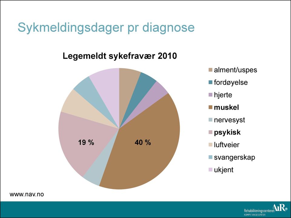 fordøyelse hjerte muskel nervesyst