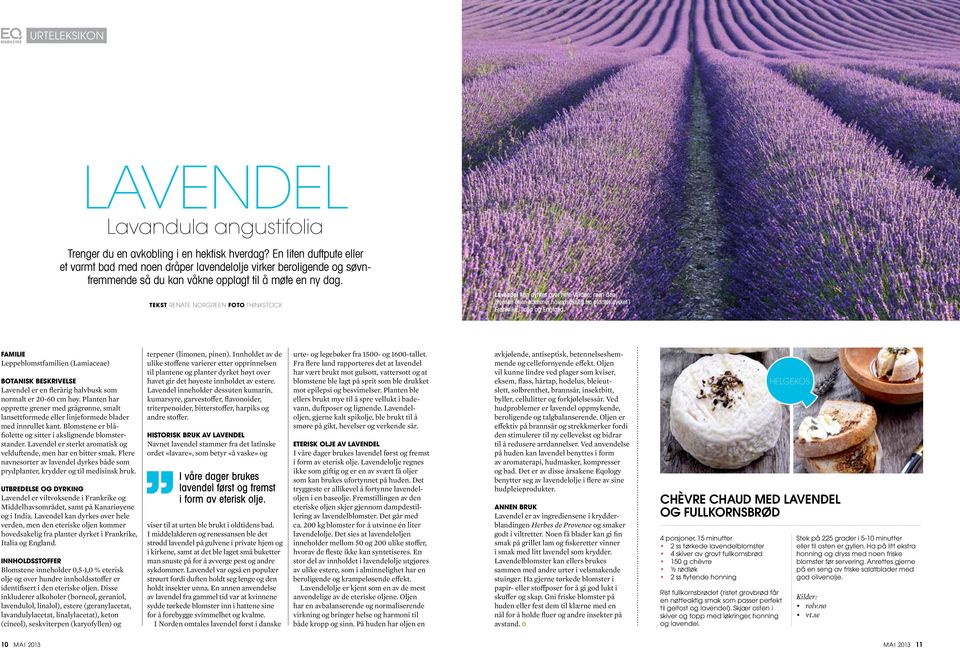 Tekst Renate Norgreen Foto THINKSTOCK Lavendel kan dyrkes over hele verden, men den eteriske oljen kommer hovedsakelig fra planter dyrket i Frankrike, Italia og England.